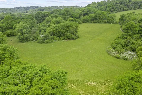 a view of a green yard with large trees