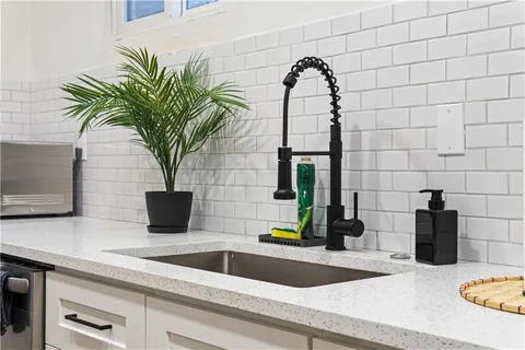 a kitchen with a sink and a potted plant