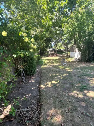 a view of a tree in the middle of a yard