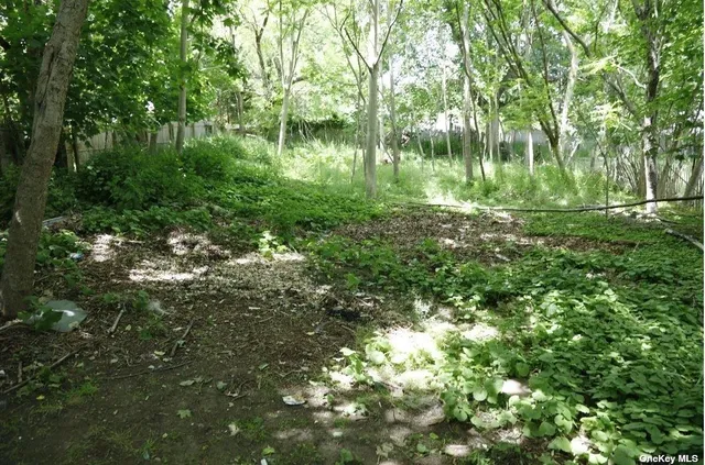 a view of a lake with a tree