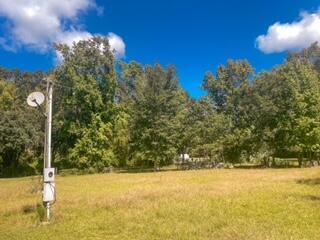 3907 Calhoun Street Branchville, SC 29432 - Photo 20 of 23 IMG_3829