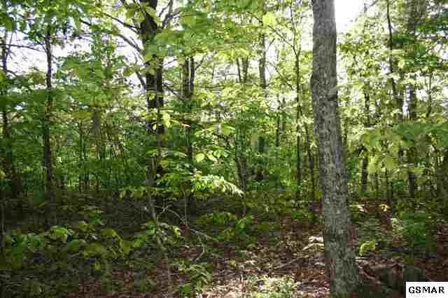 7 Timber Ridge Road Gatlinburg, TN 37738 - Photo 1 of 1 Gallery Image 1