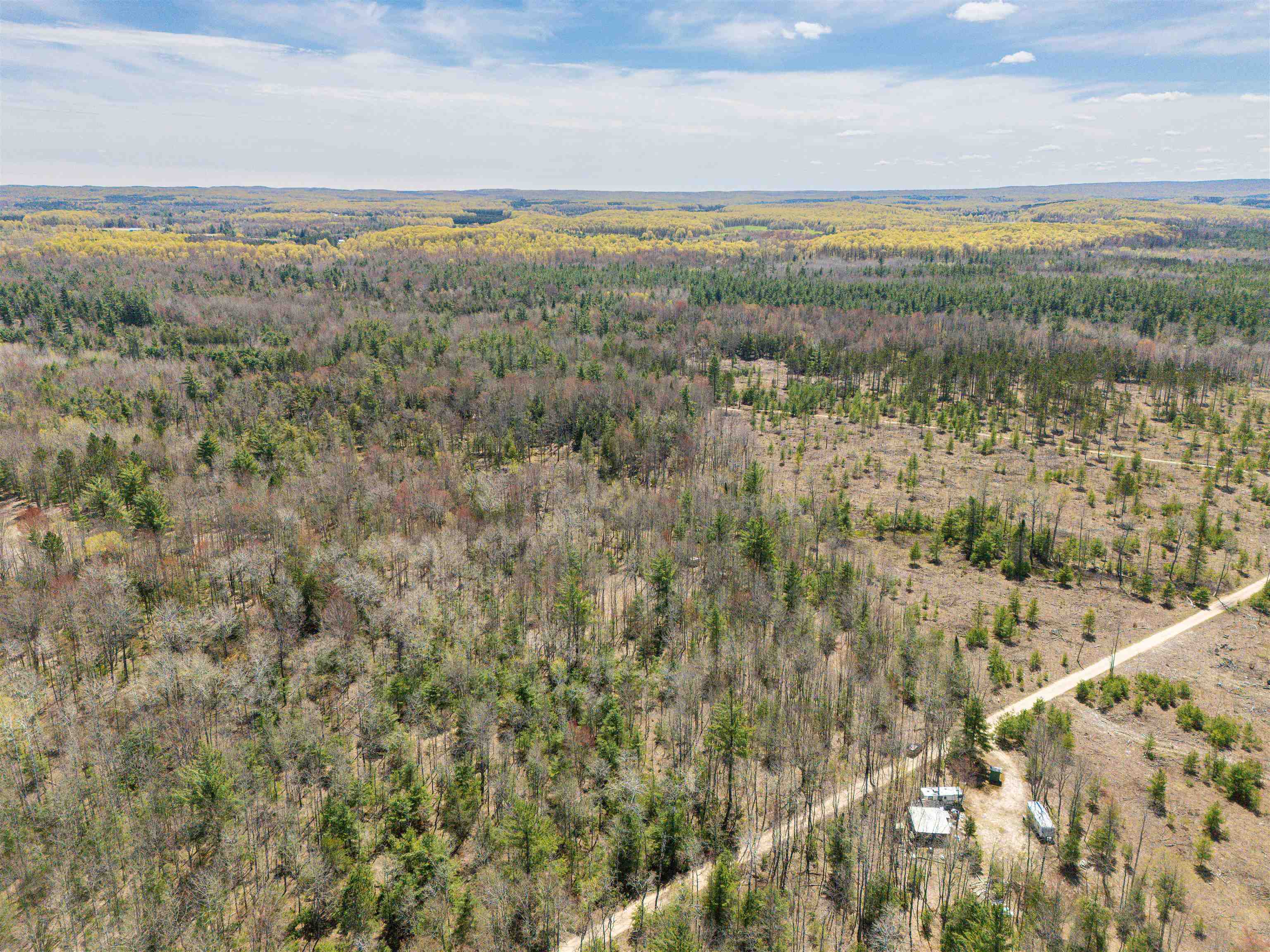 Vl Kolarvic Road Manton, MI 49663 - Photo 4 of 28