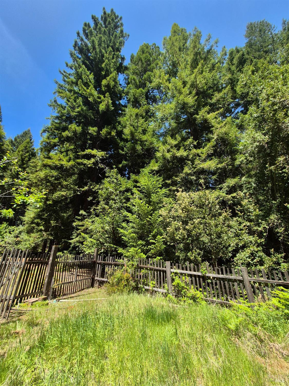 11903 Branscomb Road Laytonville, CA 95454 - Photo 37 of 72