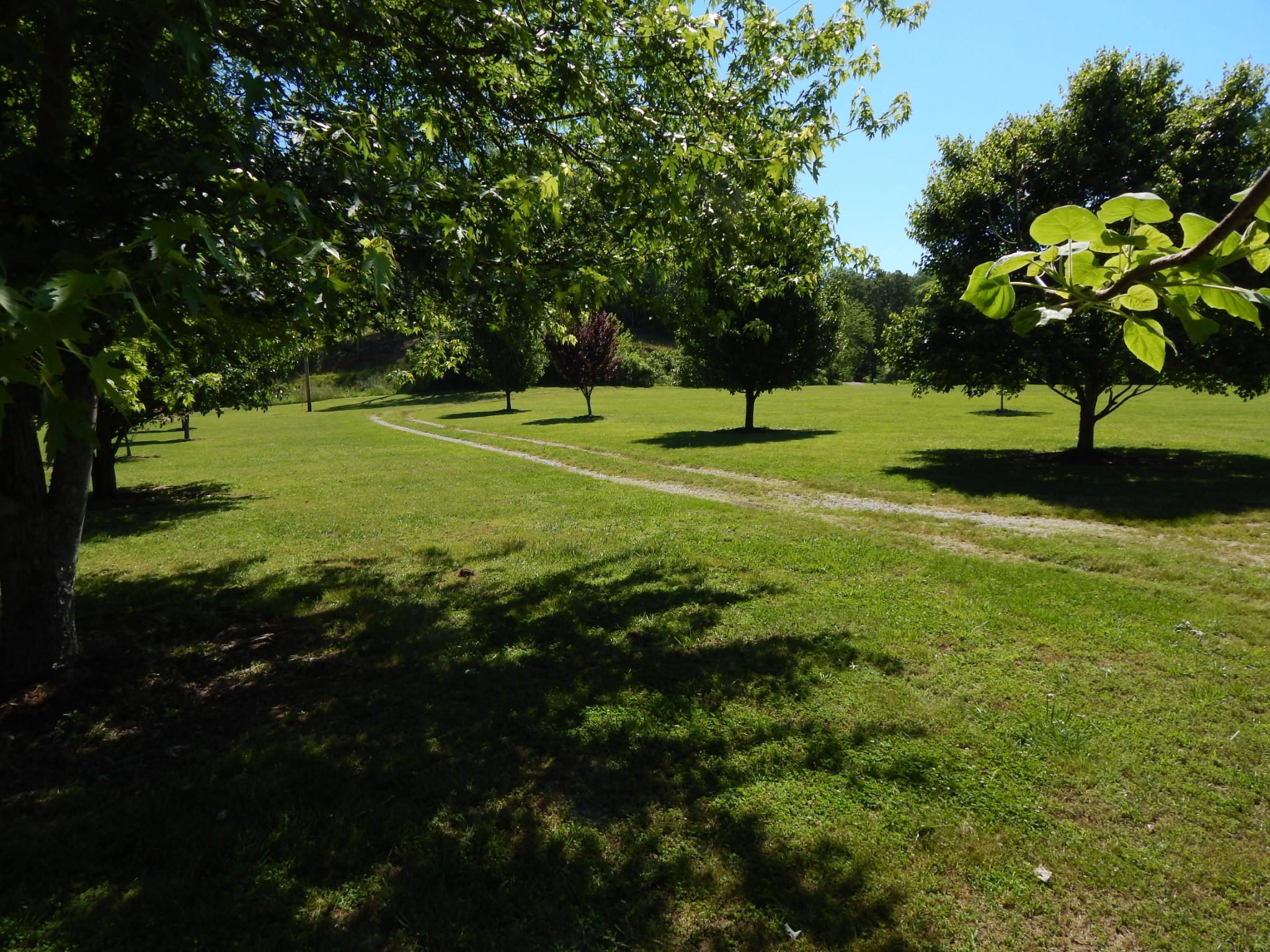 621 Simmons Branch Road Waynesboro, TN 38485 - Photo 3 of 30 Gallery Image 3