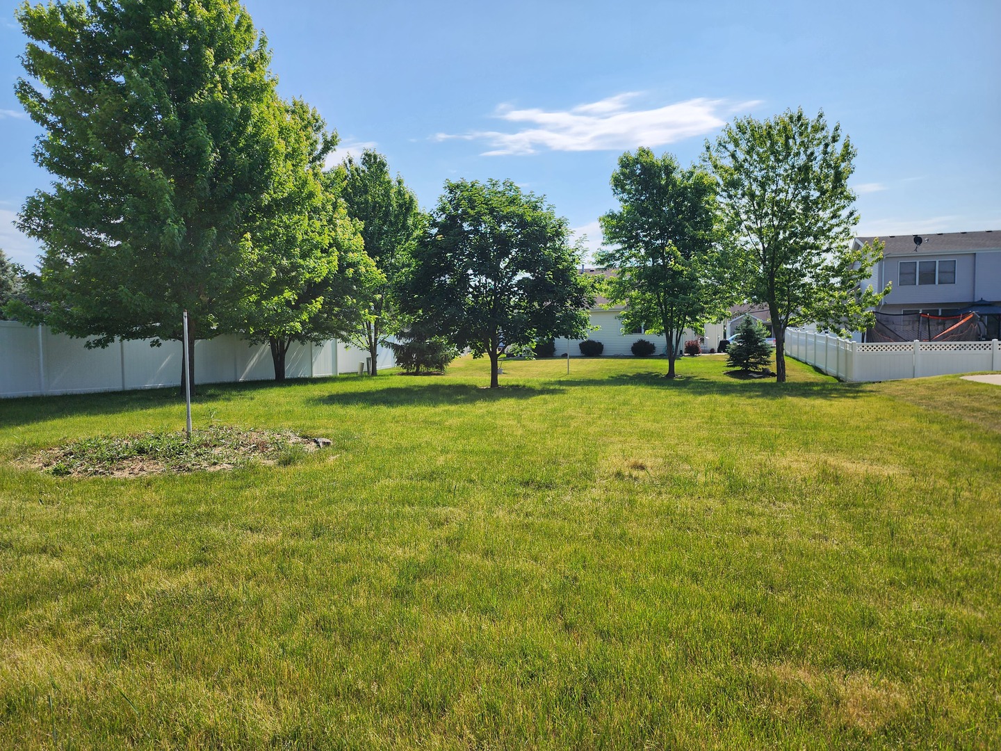 1439 Trailside Drive Beecher, IL 60401 - Photo 2 of 10 a view of a large trees with a big yard