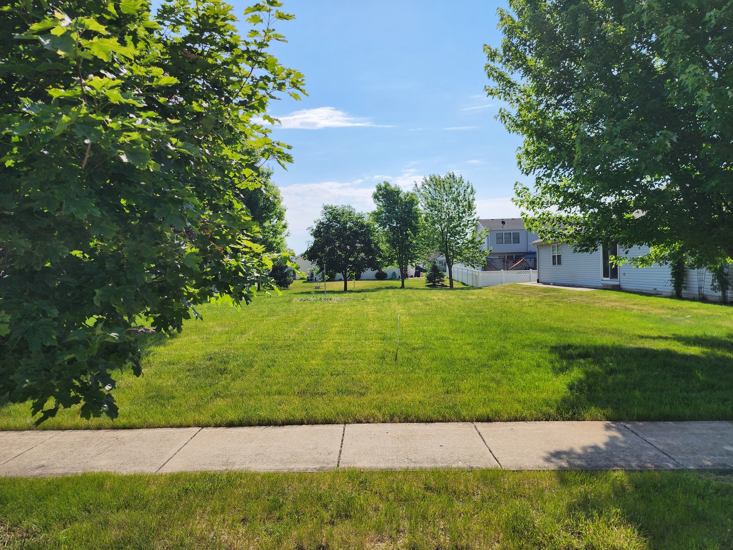 1439 Trailside Drive Beecher, IL 60401 - Photo 3 of 10 a view of a backyard with green space