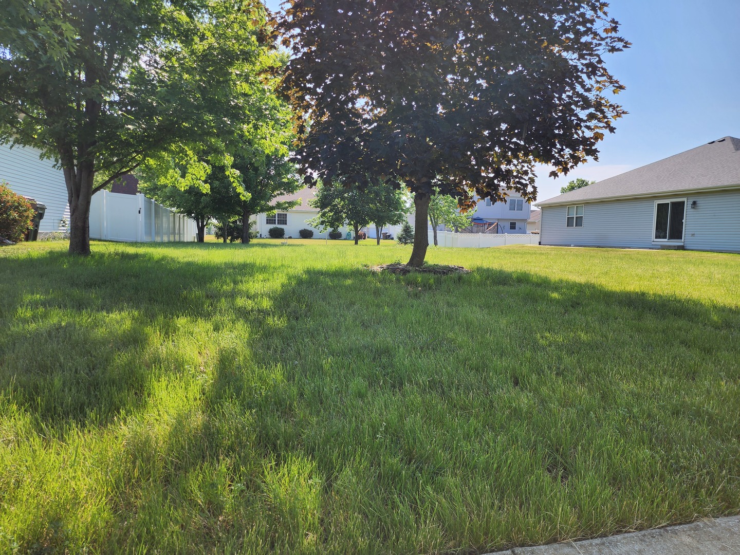 1439 Trailside Drive Beecher, IL 60401 - Photo 4 of 10 a view of yard with green space