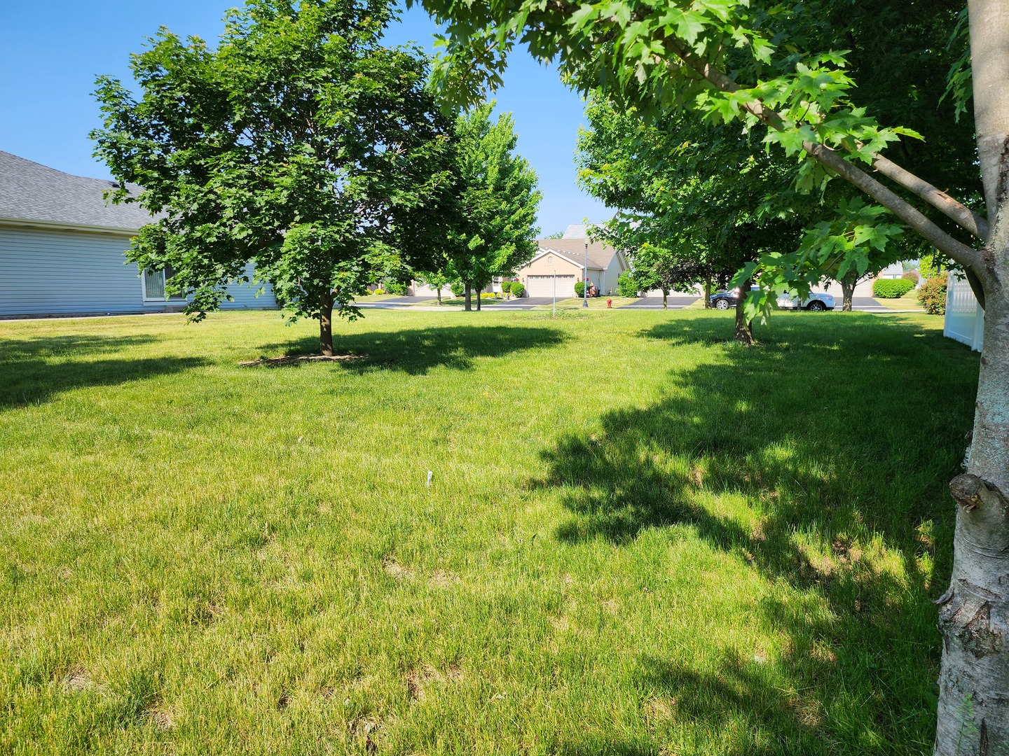 1439 Trailside Drive Beecher, IL 60401 - Photo 5 of 10 a view of green field