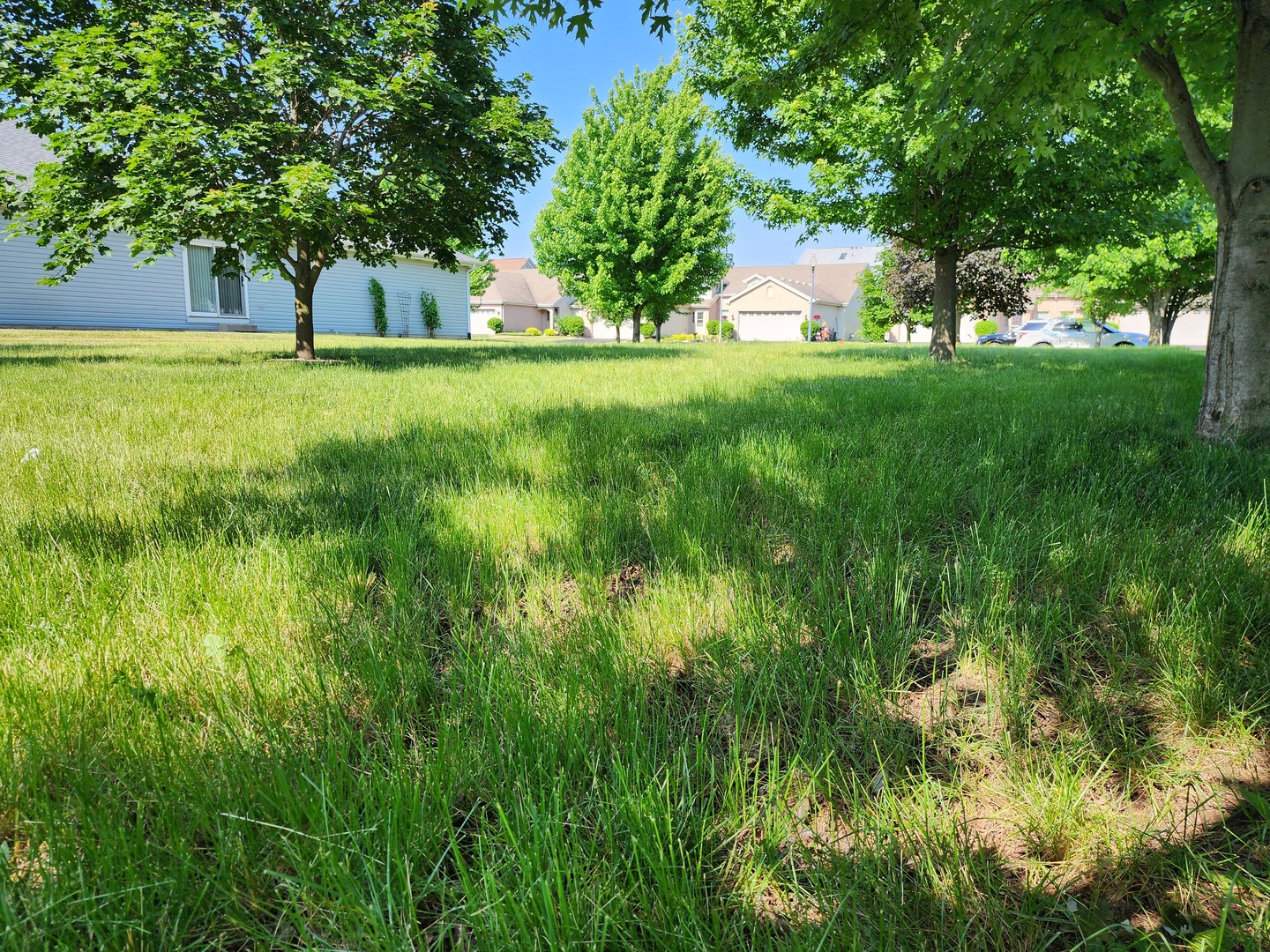 1439 Trailside Drive Beecher, IL 60401 - Photo 6 of 10 a view of a big yard with large trees and a barn in it