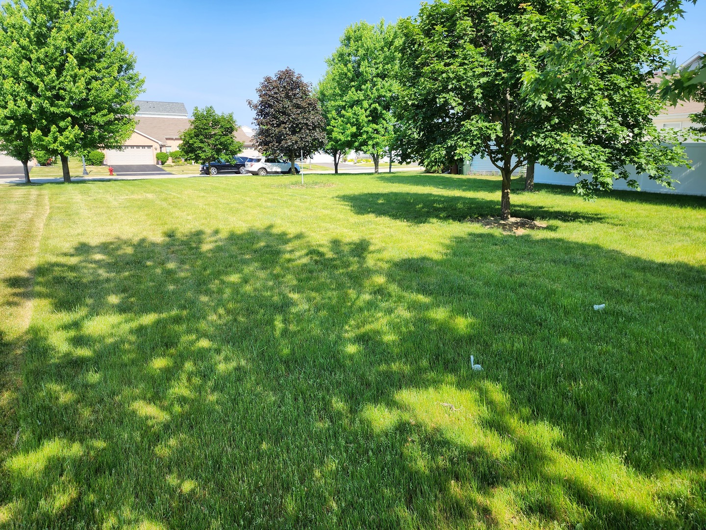 1439 Trailside Drive Beecher, IL 60401 - Photo 7 of 10 a view of a trees in a yard