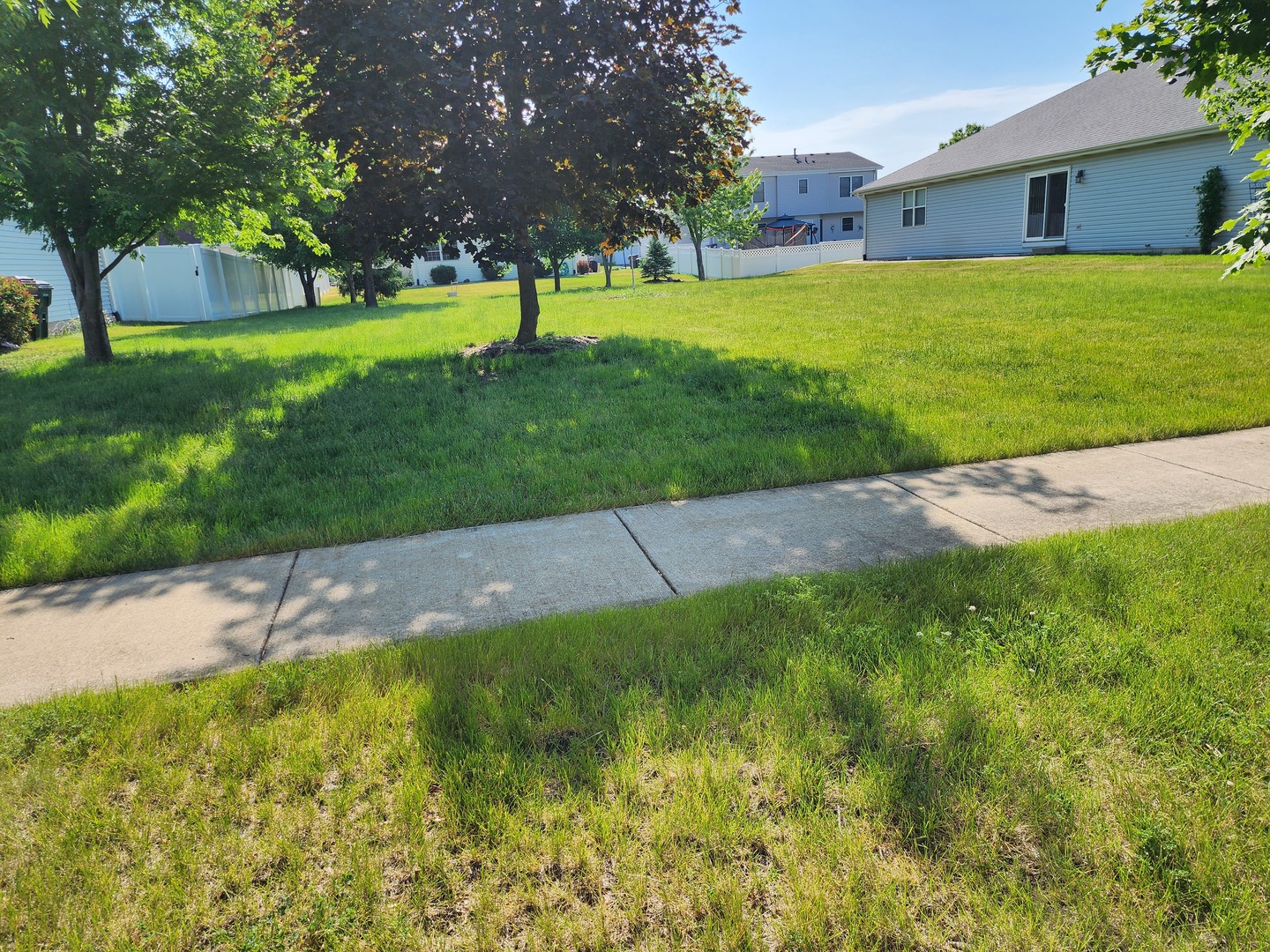 1439 Trailside Drive Beecher, IL 60401 - Photo 8 of 10 a view of a house with a backyard