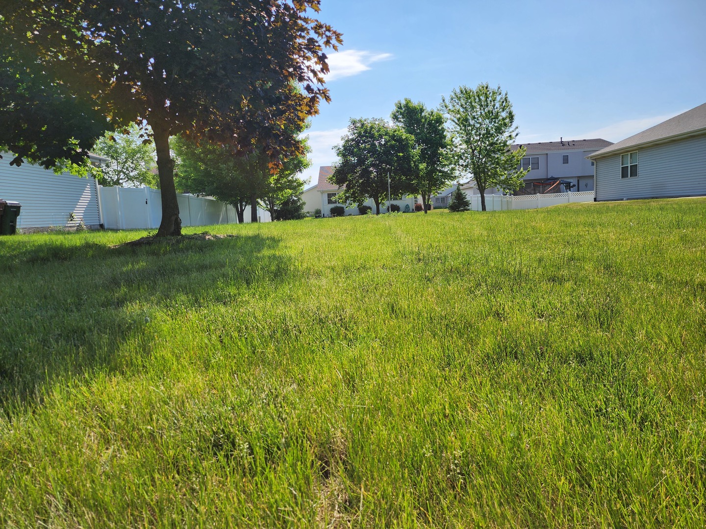 1439 Trailside Drive Beecher, IL 60401 - Photo 10 of 10 a view of yard with tree s