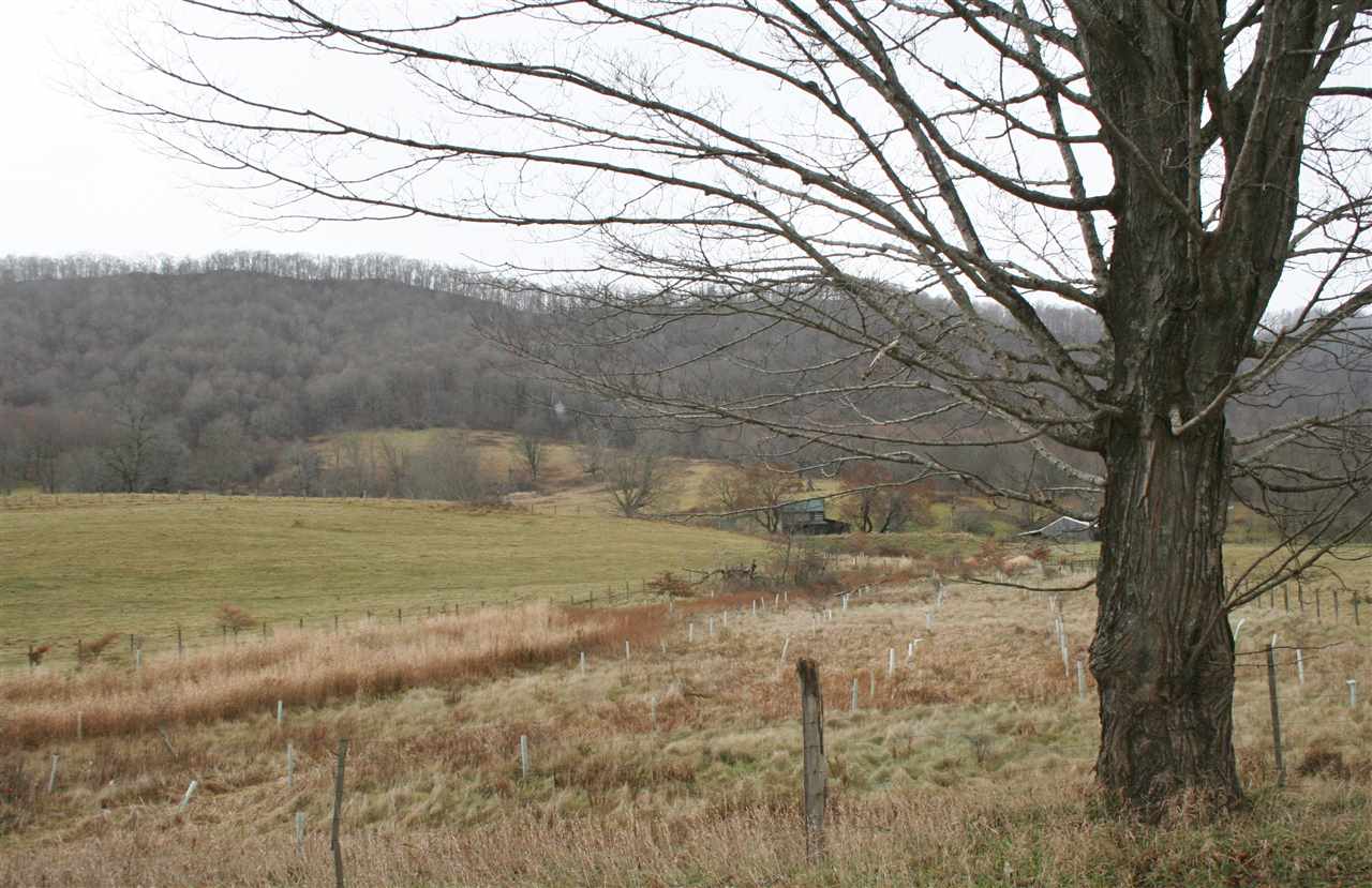 3490 Mill Gap Road Monterey, VA 24465 - Photo 36 of 39 Gallery Image 36