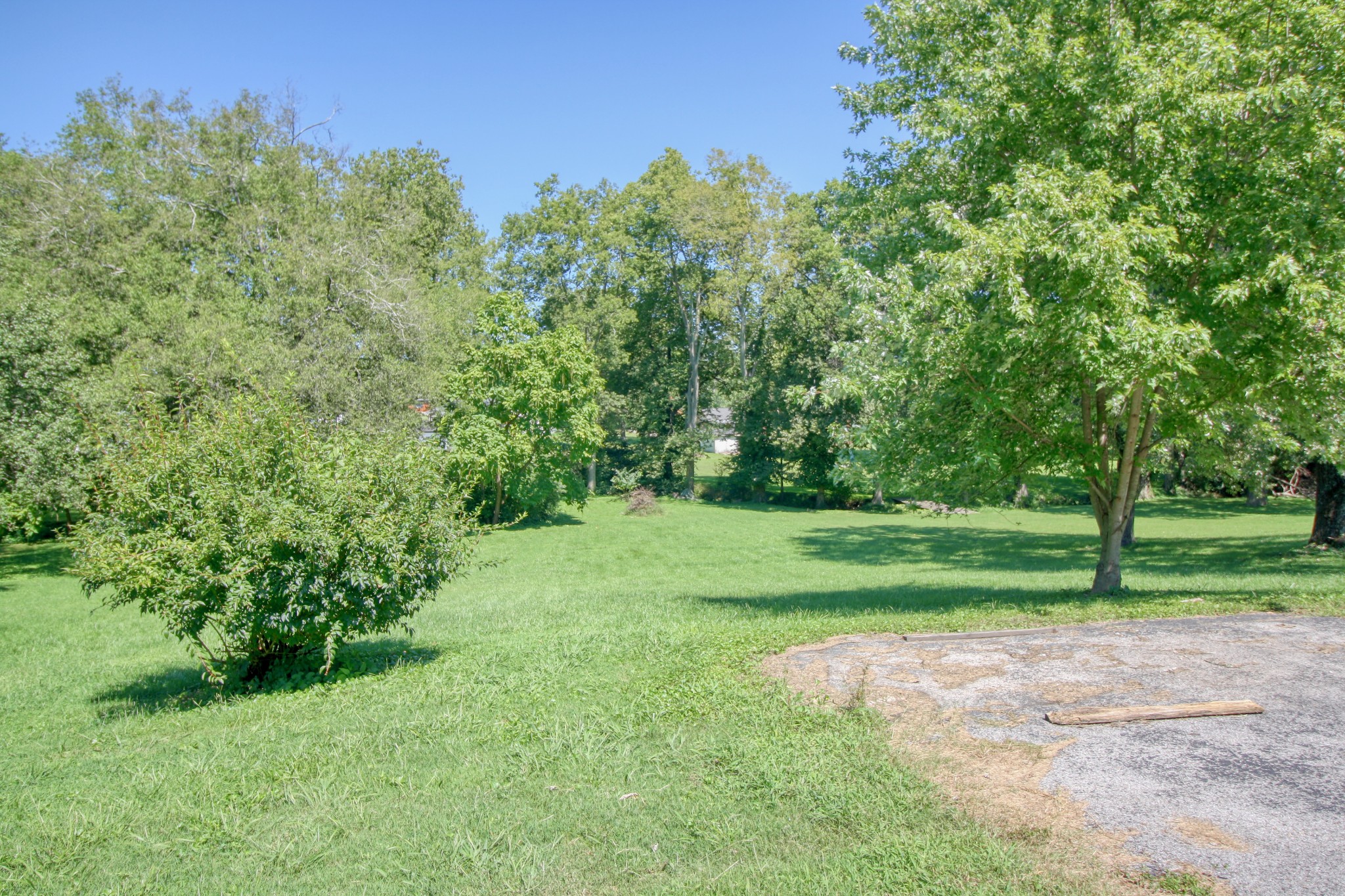 905 Apple Valley Road Madison, TN 37115 - Photo 14 of 15 Gallery Image 14