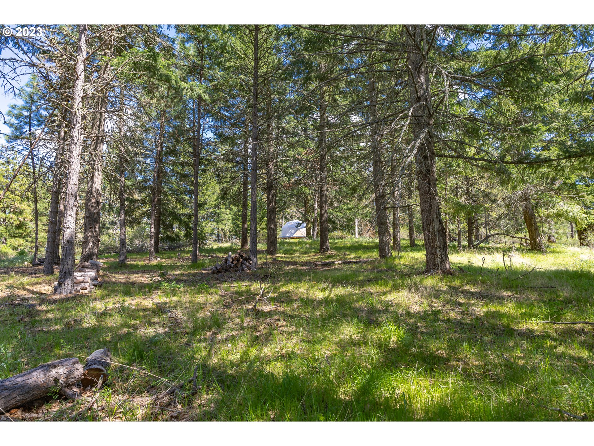 390 Canyon Road, Unit LOT 2 Lyle, WA 98635 - Photo 21 of 32 Gallery Image 21