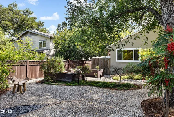 a view of a garden with plants