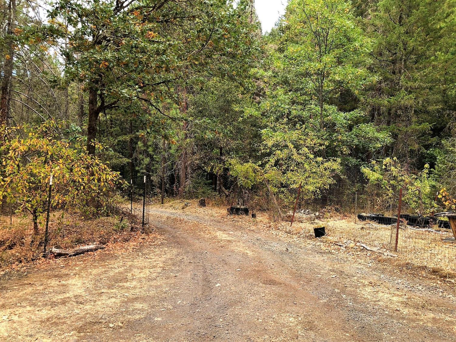 430 Beecher Road Wolf Creek, OR 97497 - Photo 10 of 11 Additional Photo