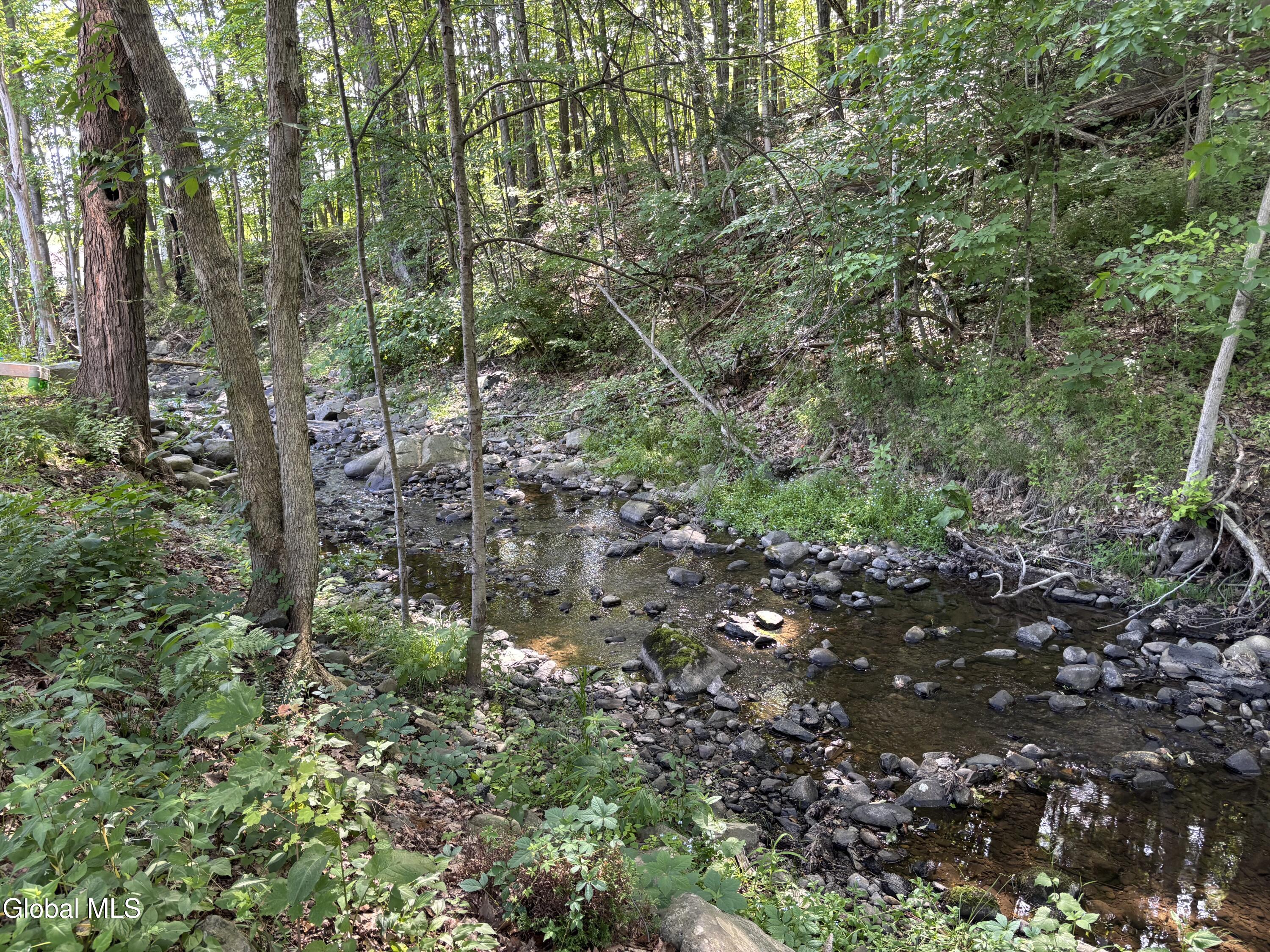 31 Taborton Road Sand Lake, NY 12018 - Photo 35 of 39 IMG_4775