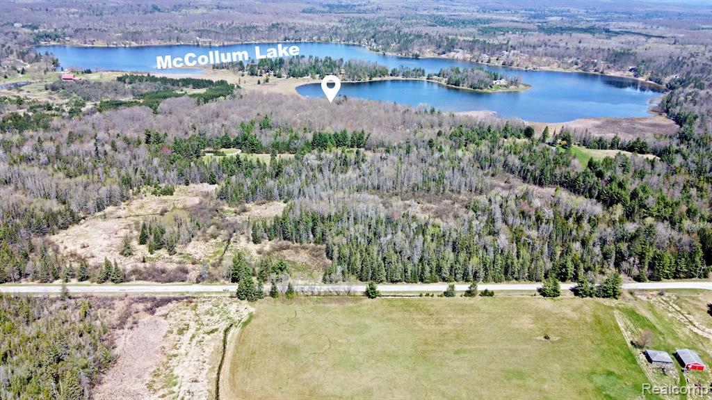 3510 Mc Collum Lake Road Curran, MI 48728 - Photo 8 of 99