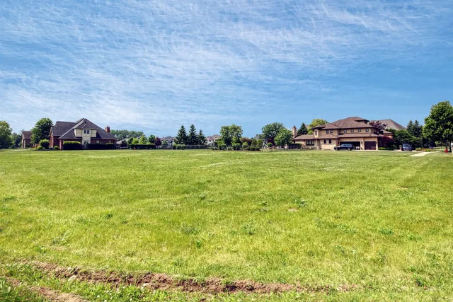 a view of a field with big trees