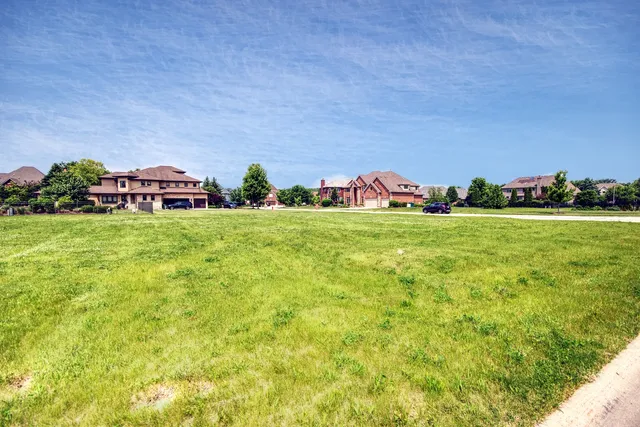 a view of a big yard with potted plants and large tree