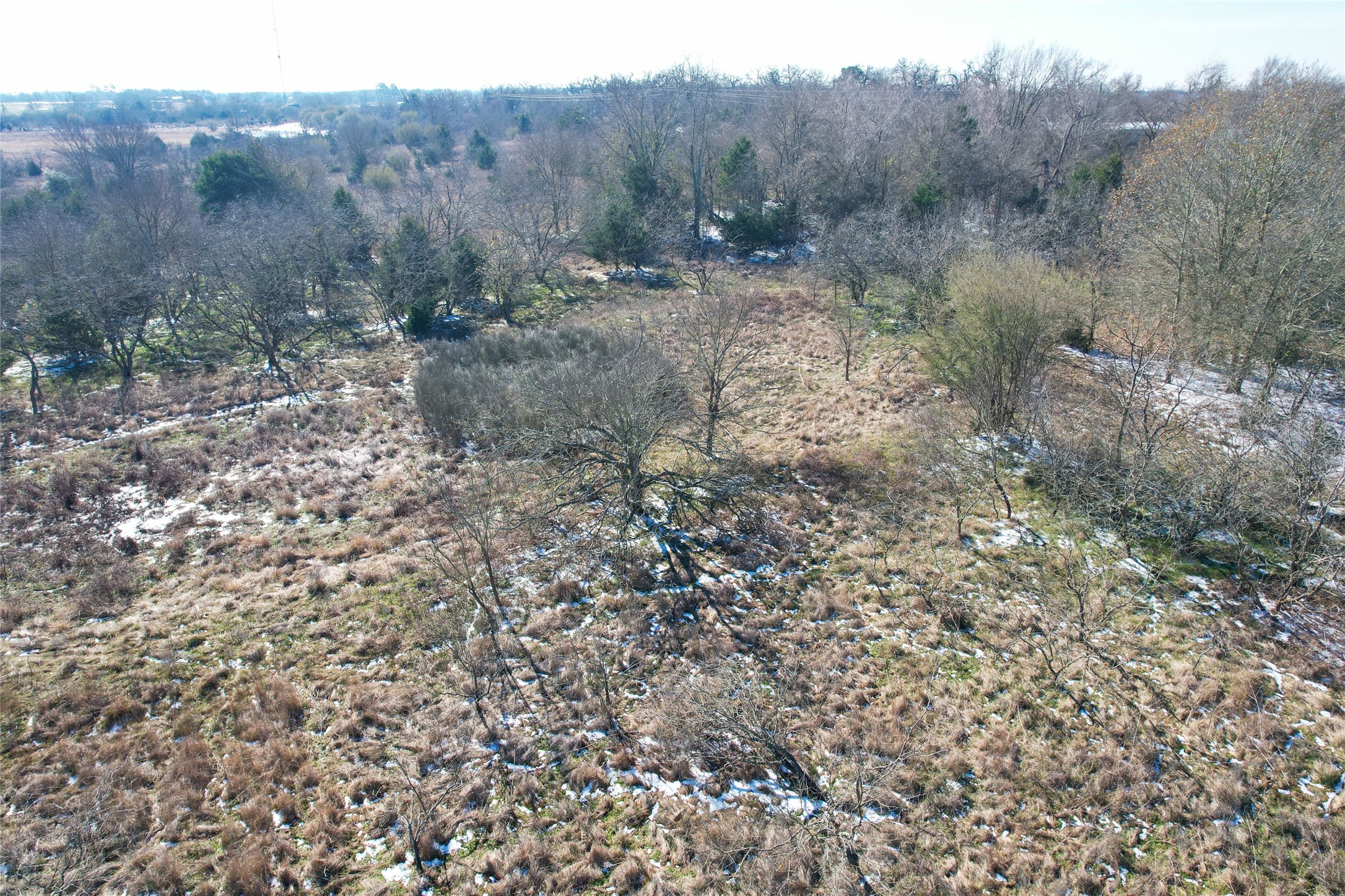 2 Prairie Grove Road Bremond, TX 76629 - Photo 14 of 28 a view of a dry yard with trees in the background