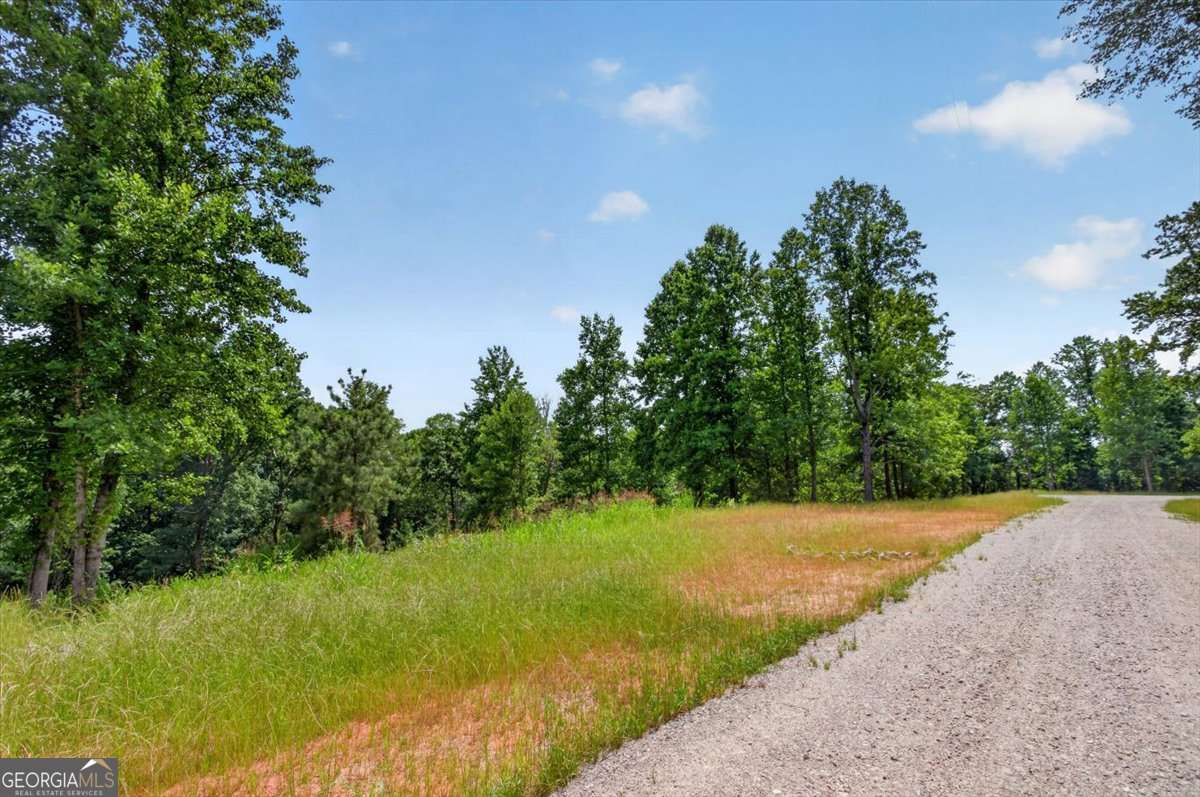 0 Conns Creek Road, Unit 2 Ball Ground, GA 30107 - Photo 16 of 57