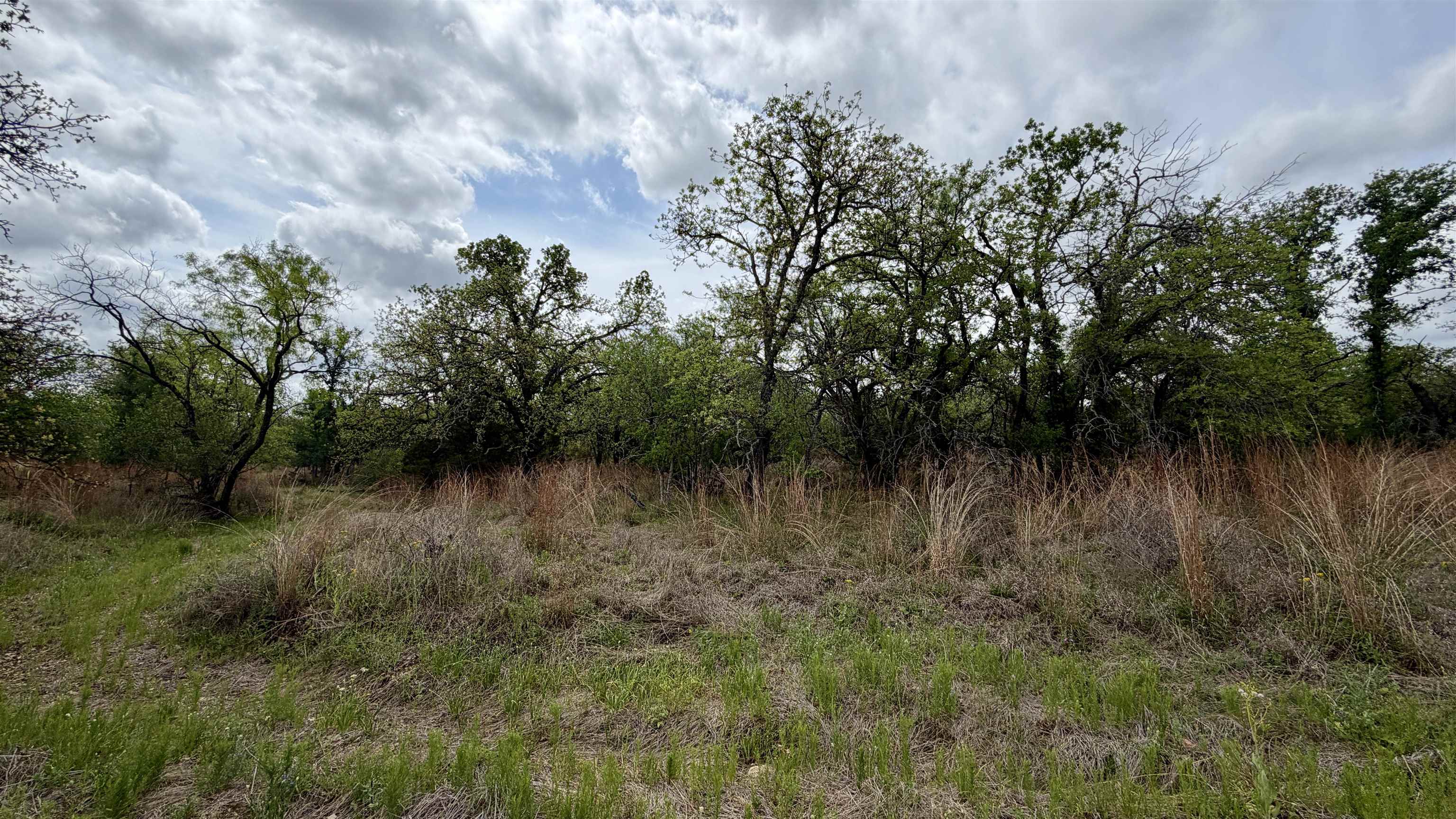 Lot 110 Ridgemont Kingsland, TX 78639 - Photo 2 of 9