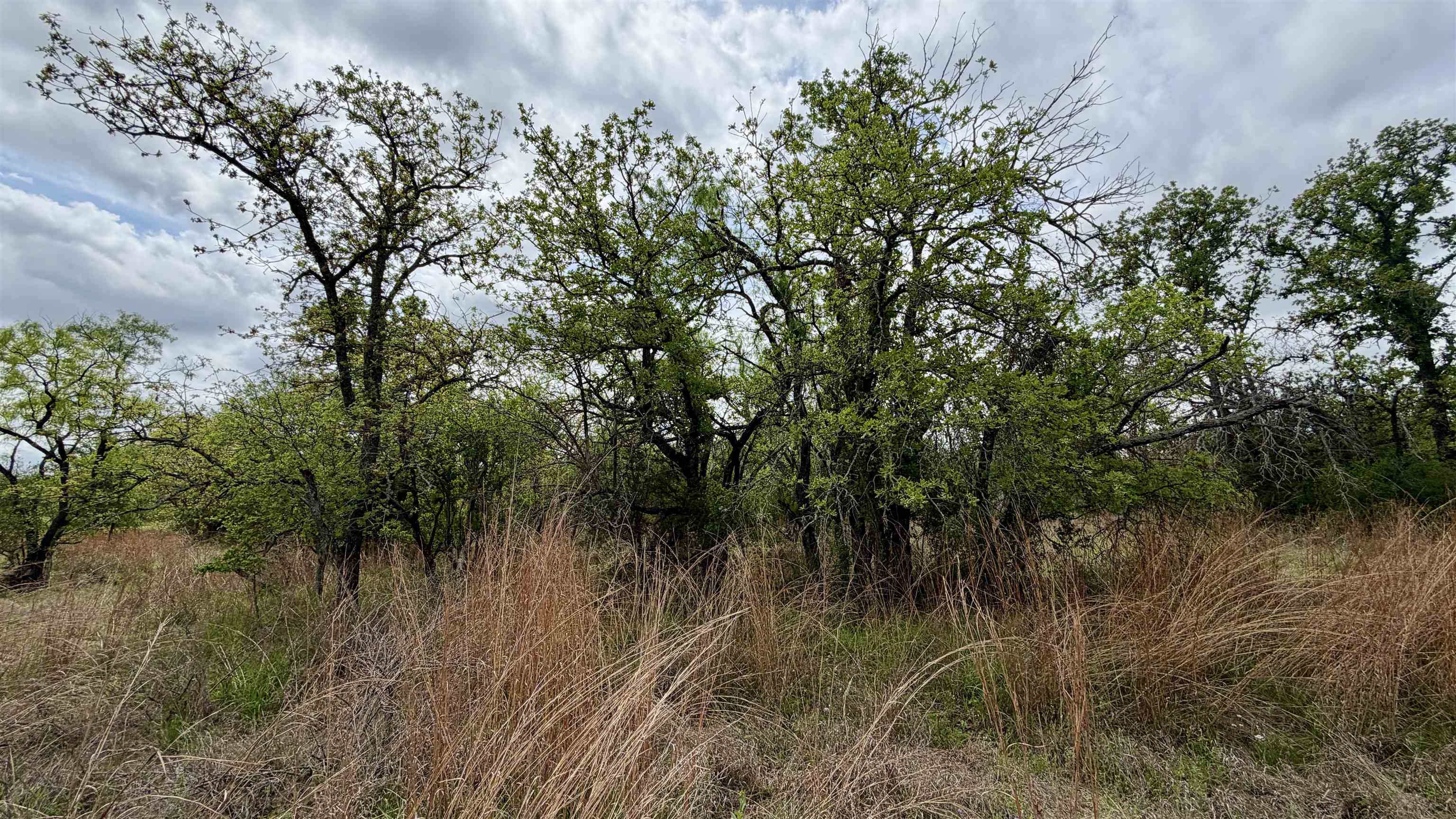 Lot 110 Ridgemont Kingsland, TX 78639 - Photo 3 of 9