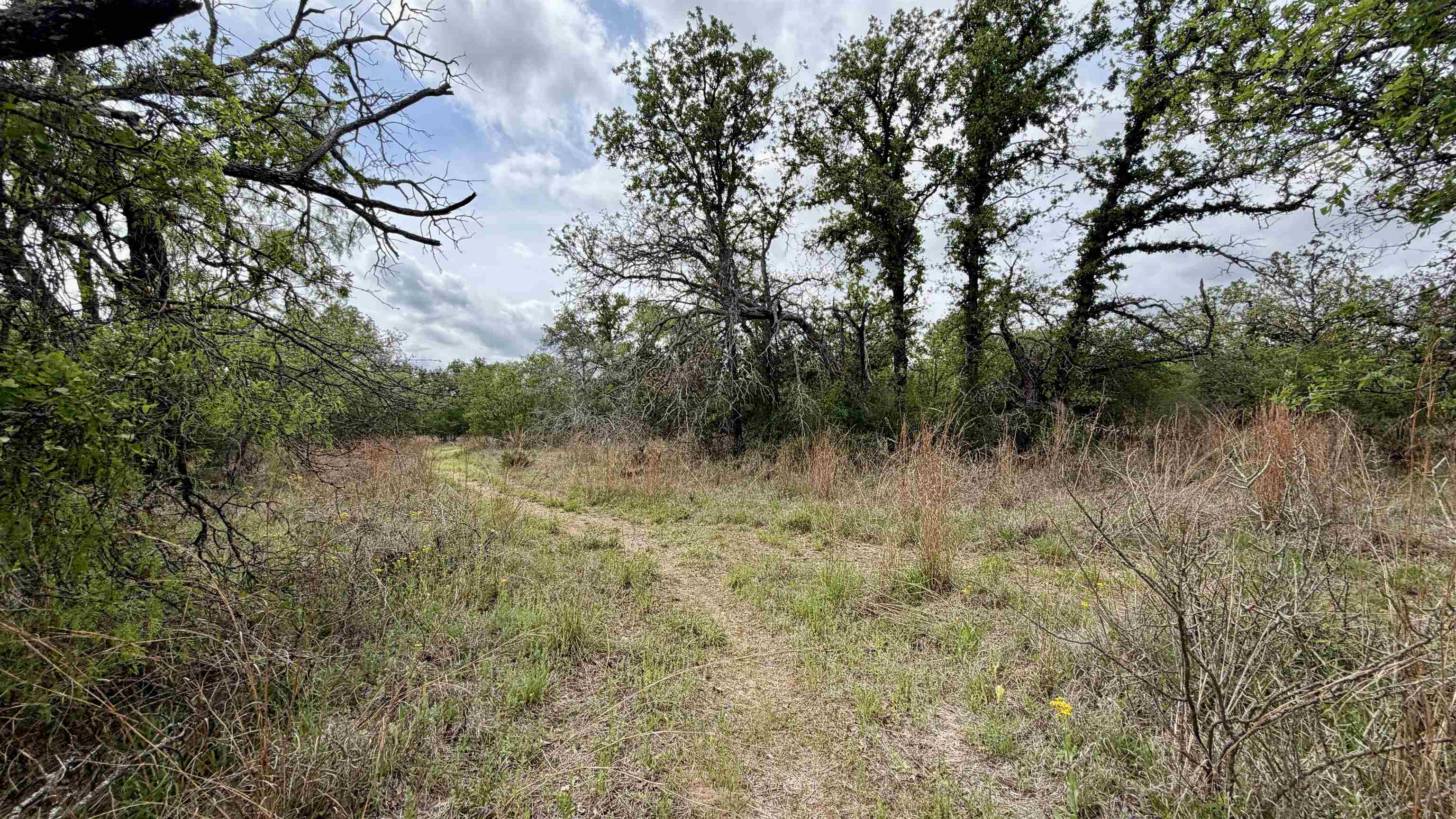 Lot 110 Ridgemont Kingsland, TX 78639 - Photo 4 of 9