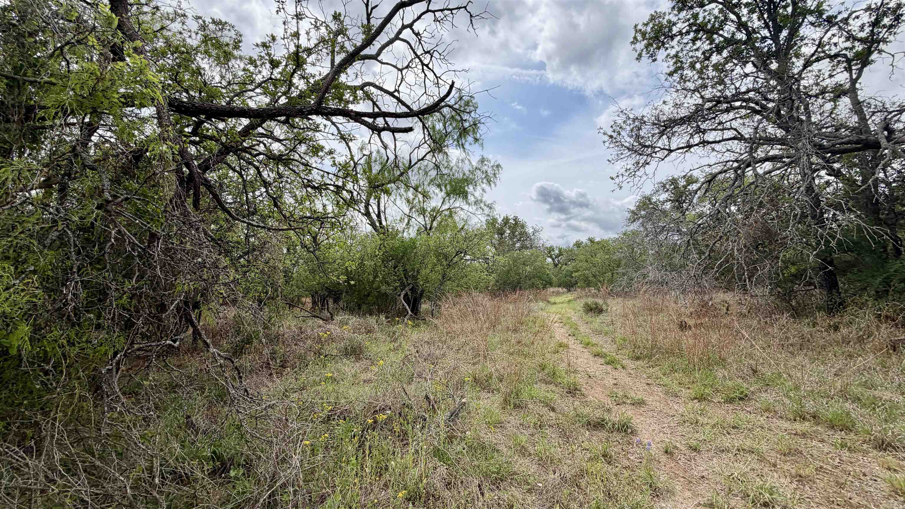 Lot 110 Ridgemont Kingsland, TX 78639 - Photo 5 of 9