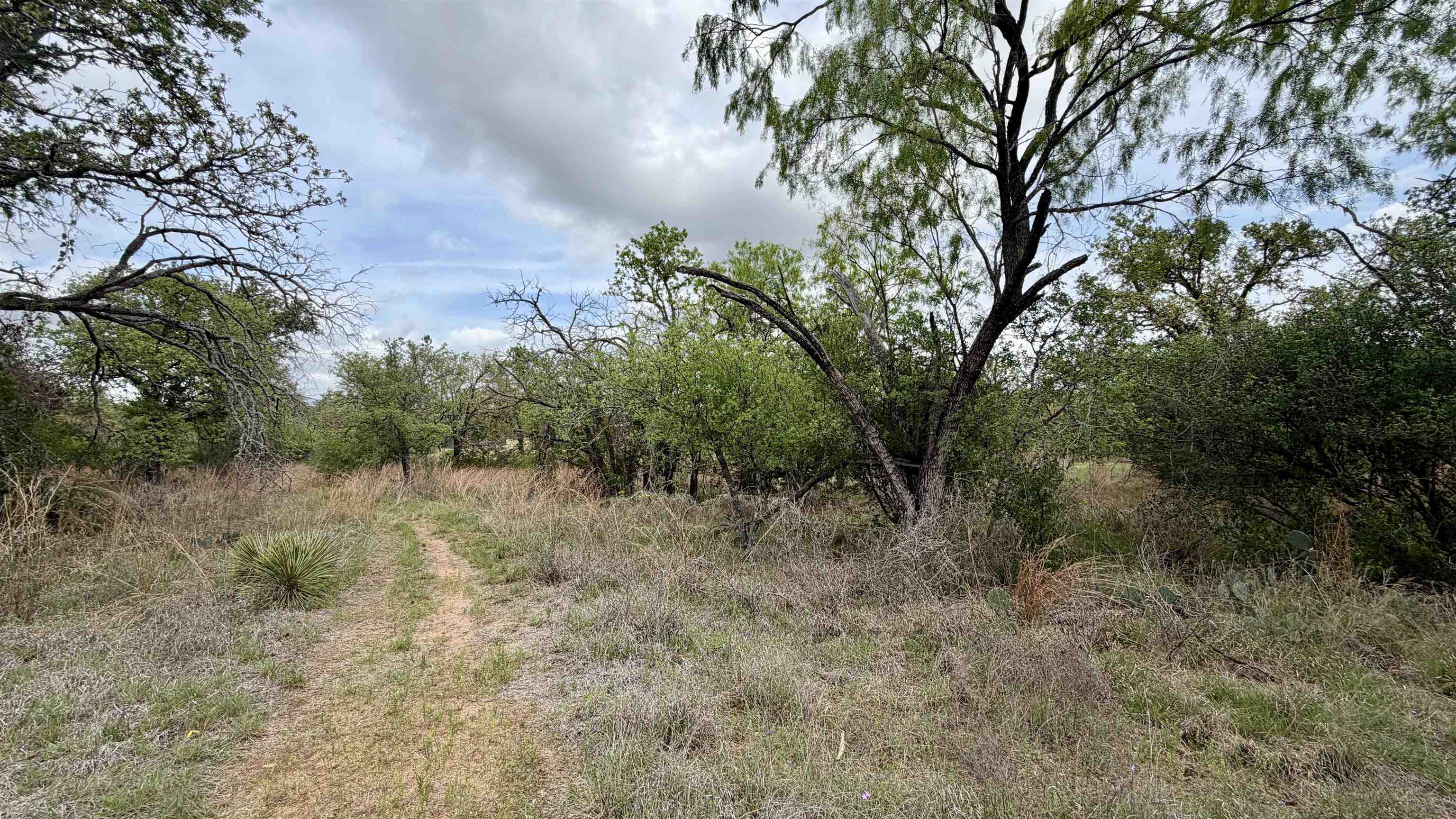 Lot 110 Ridgemont Kingsland, TX 78639 - Photo 6 of 9