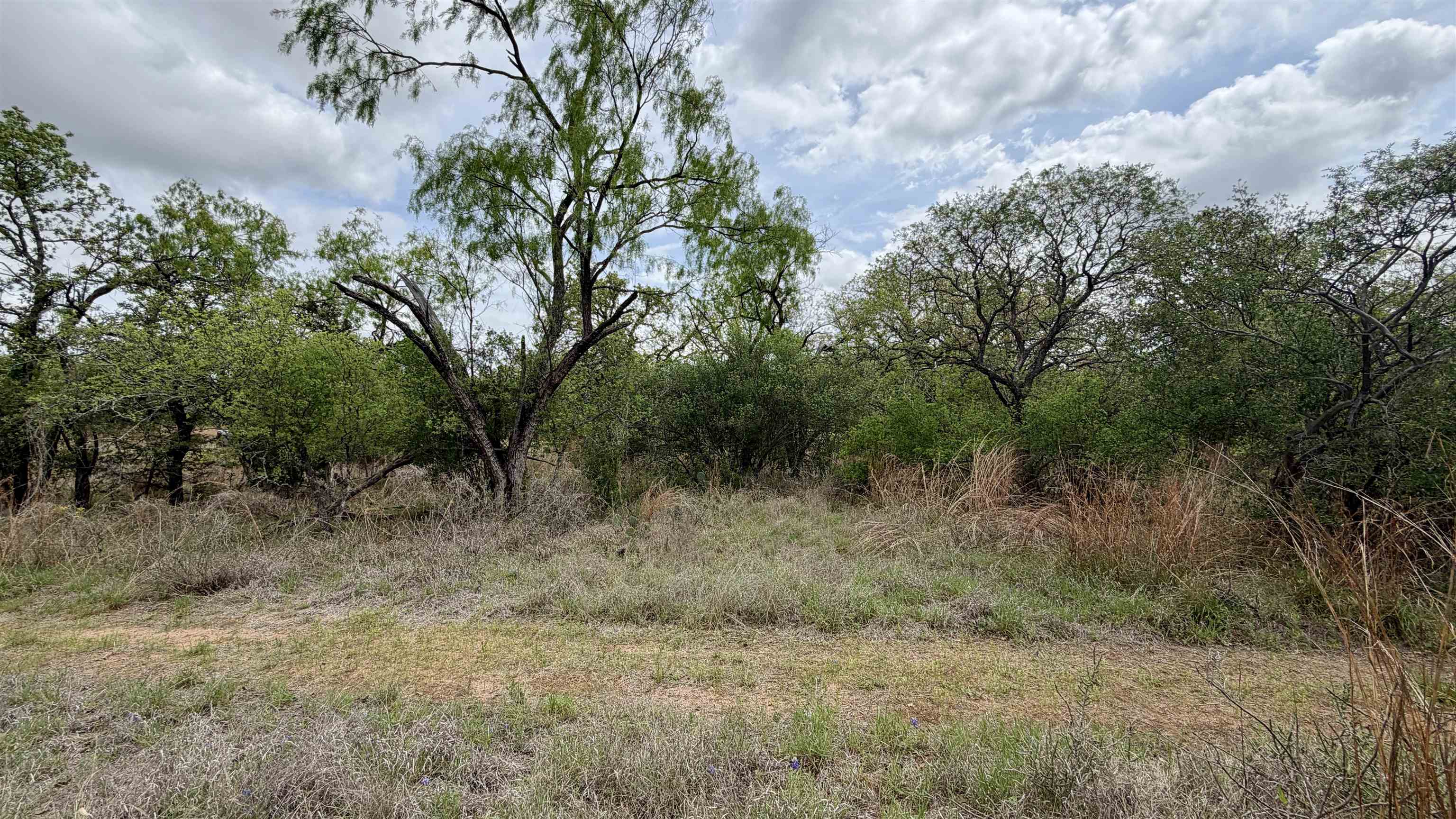 Lot 110 Ridgemont Kingsland, TX 78639 - Photo 7 of 9