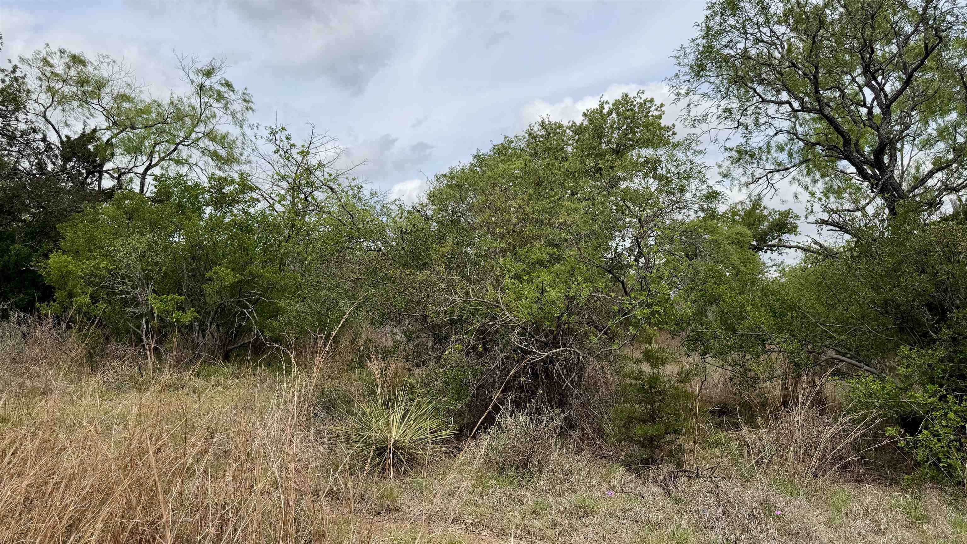 Lot 110 Ridgemont Kingsland, TX 78639 - Photo 8 of 9