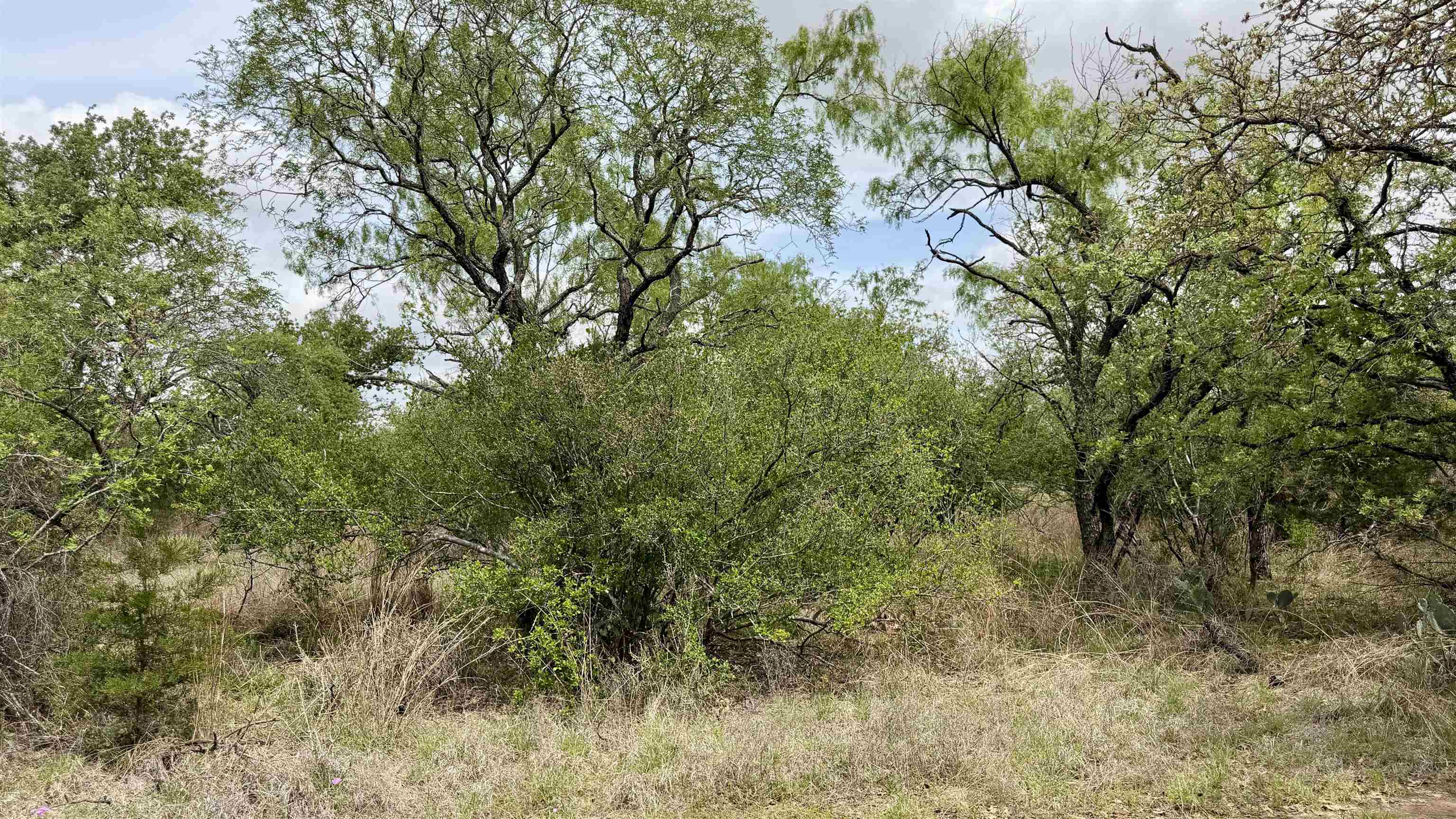 Lot 110 Ridgemont Kingsland, TX 78639 - Photo 9 of 9