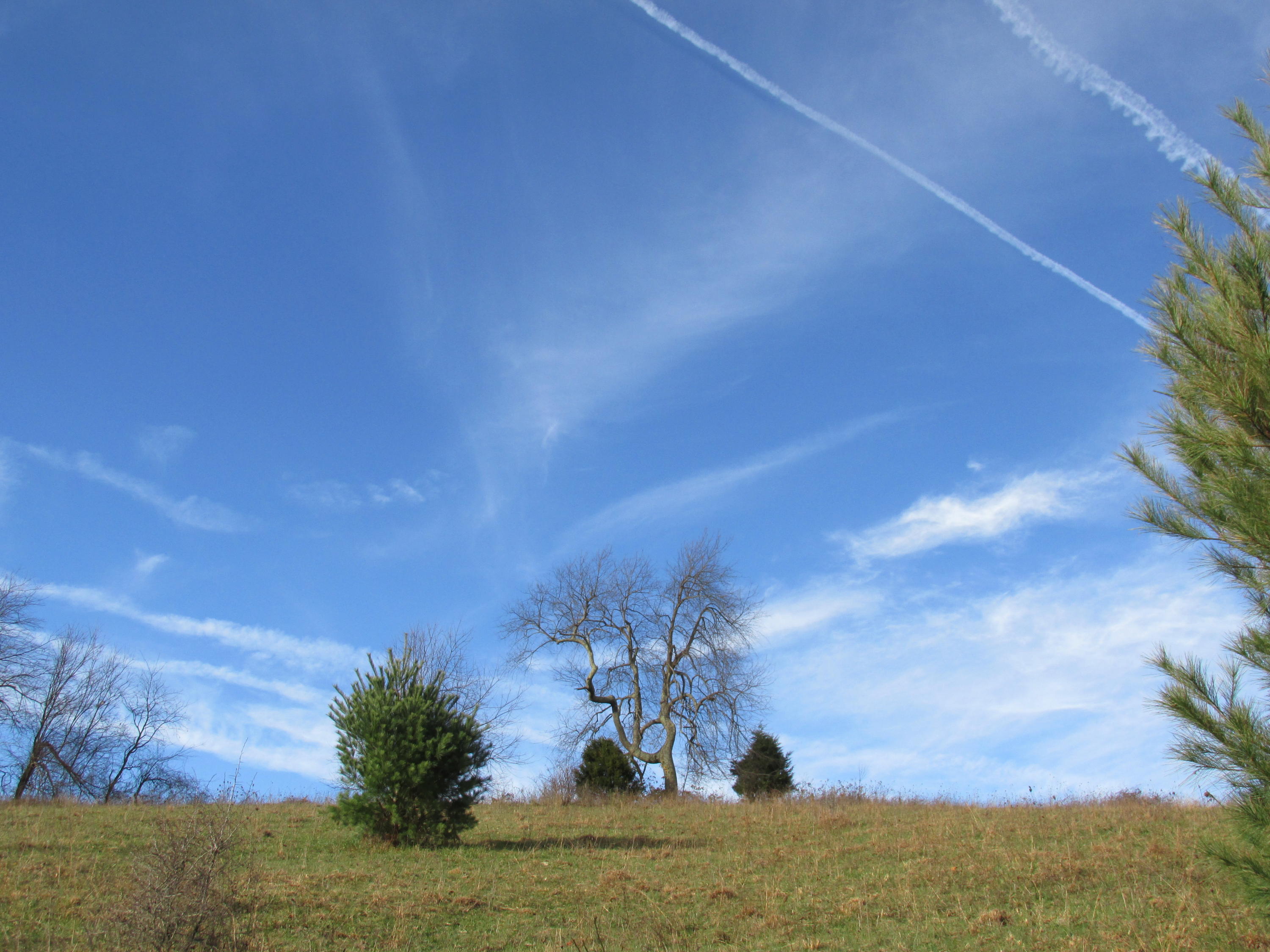 349 Cox Store Road Southwest Floyd, VA 24091 - Photo 40 of 47 Top of Hill Behind House