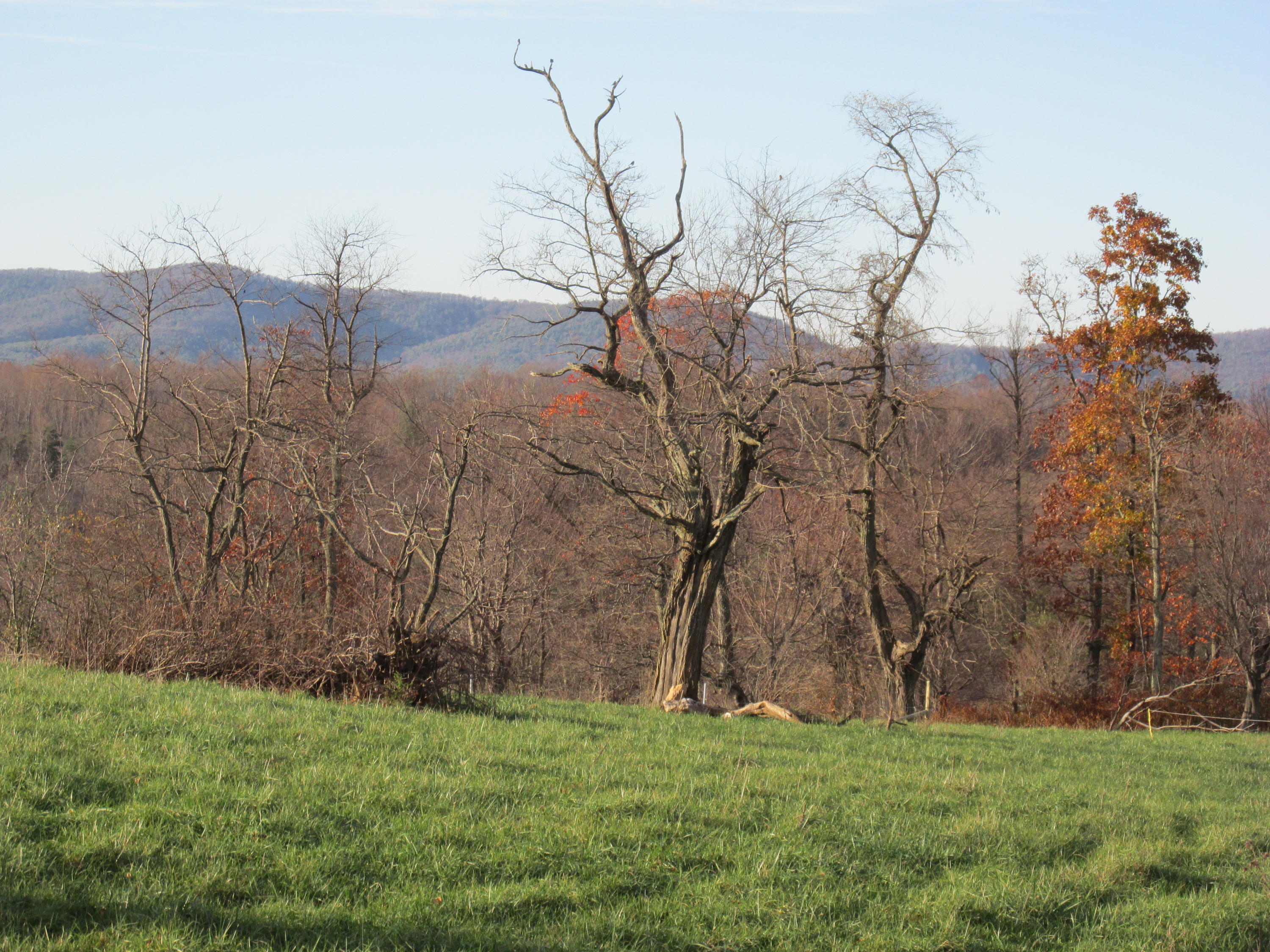 349 Cox Store Road Southwest Floyd, VA 24091 - Photo 42 of 47 3