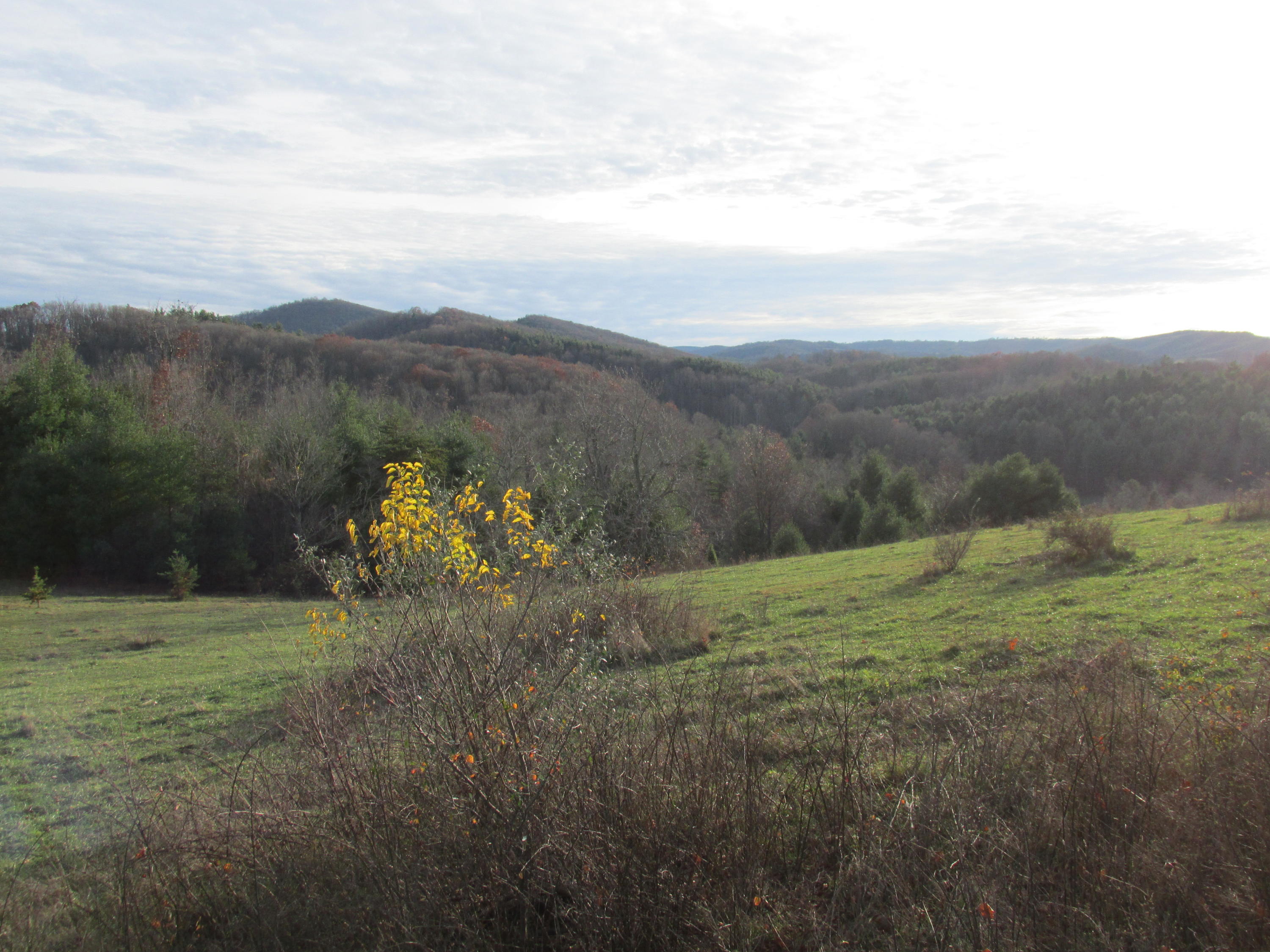 349 Cox Store Road Southwest Floyd, VA 24091 - Photo 43 of 47 4
