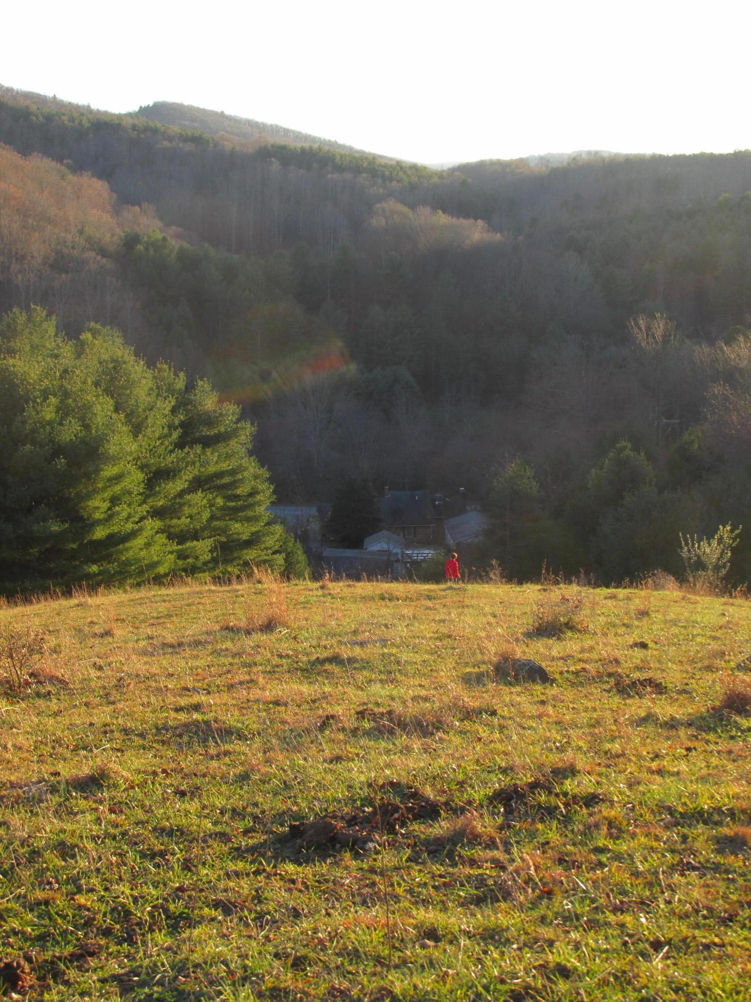 349 Cox Store Road Southwest Floyd, VA 24091 - Photo 45 of 47 6