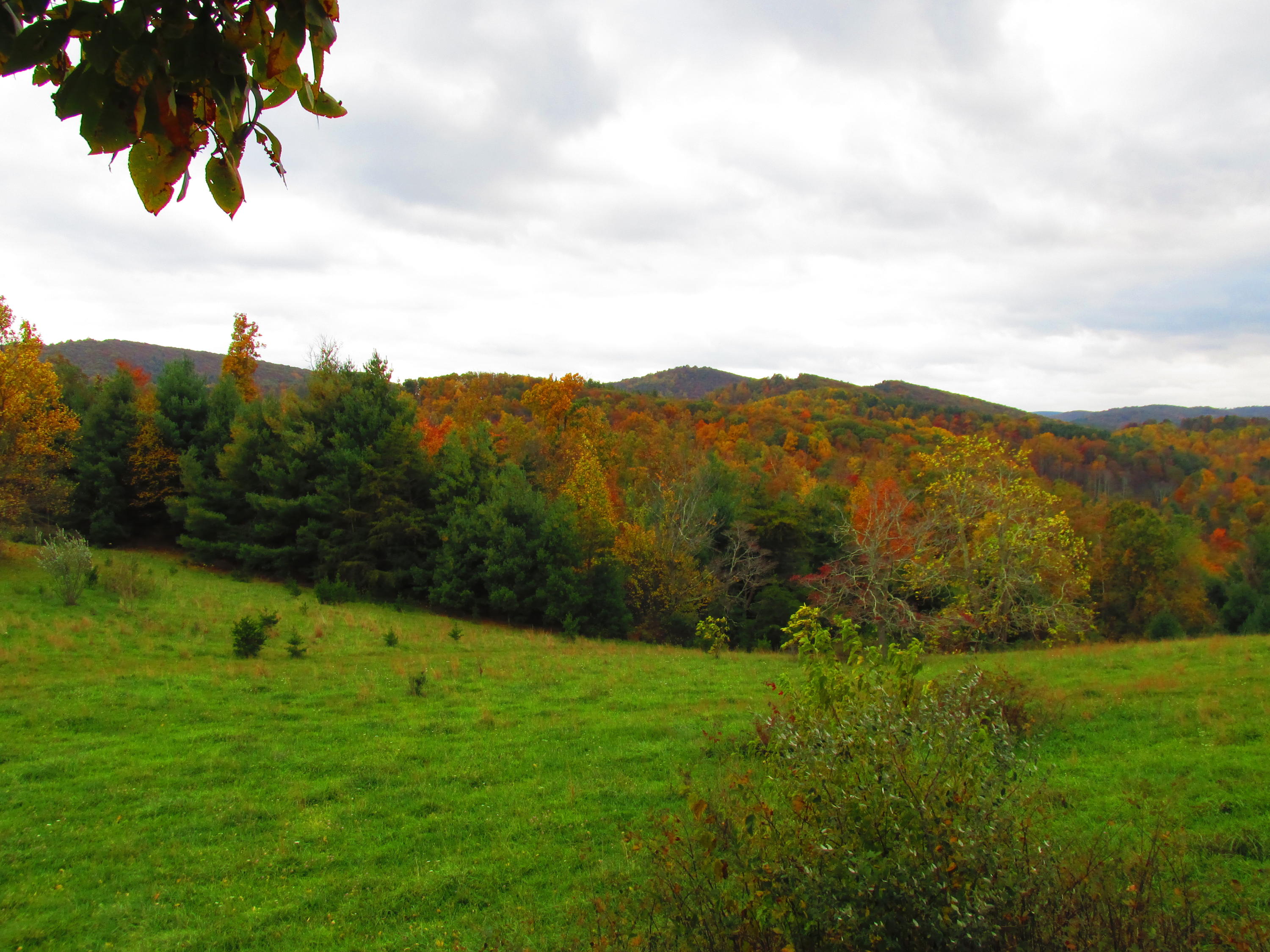 349 Cox Store Road Southwest Floyd, VA 24091 - Photo 46 of 47 7