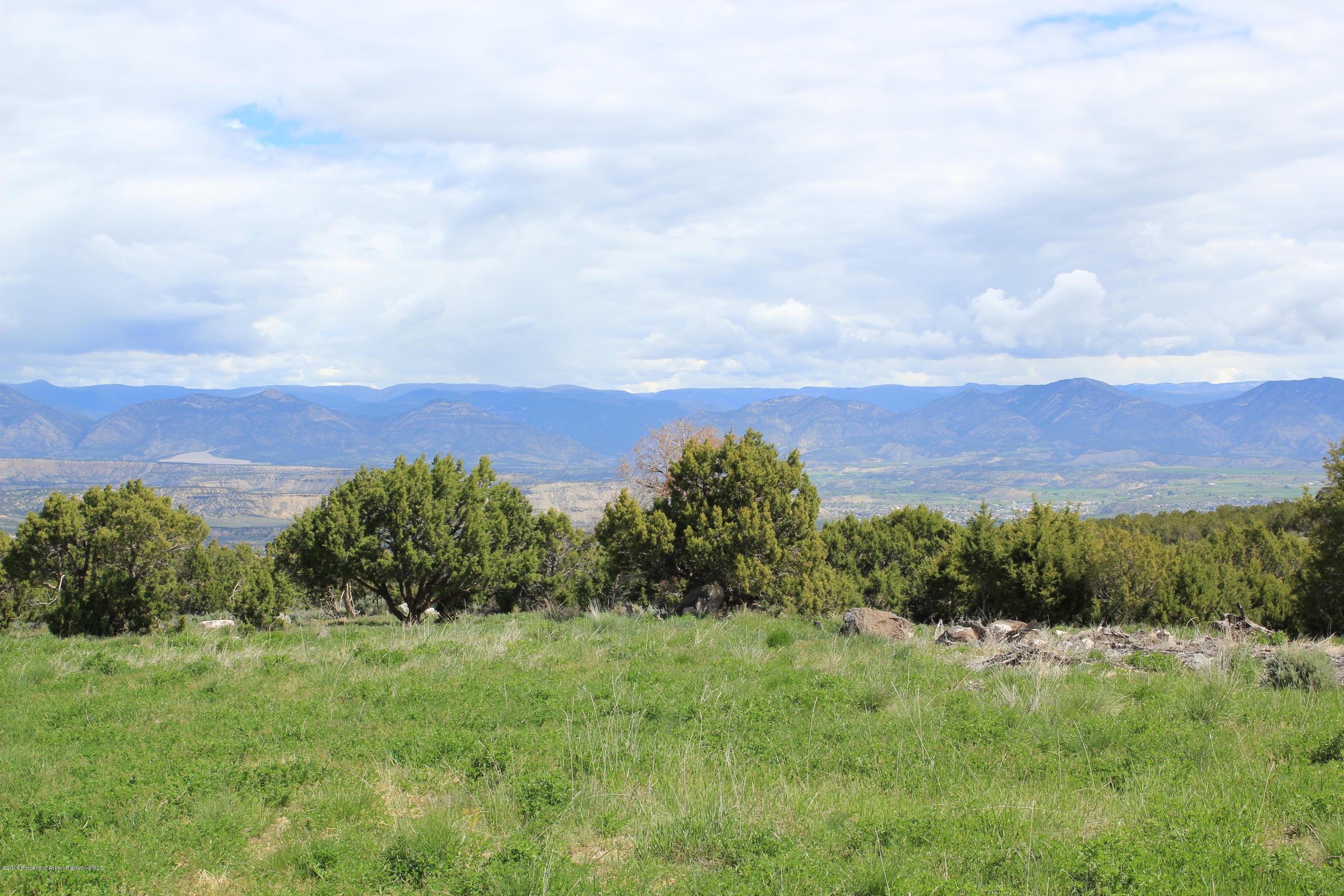 317 County Road 317 Rifle, CO 81650 - Photo 3 of 6 Pinons and vistas