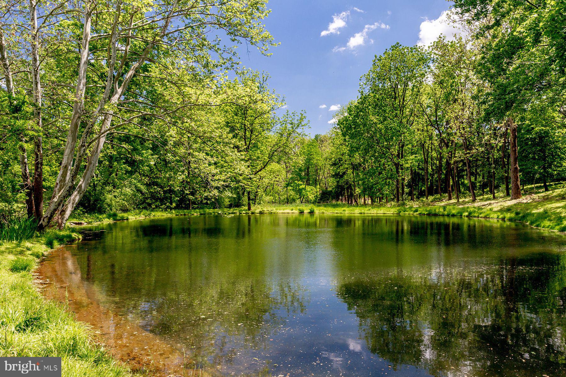 6550 Meetinghouse Road New Hope, PA 18938 - Photo 37 of 45