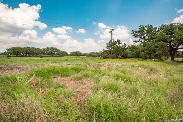 a view of a green yard