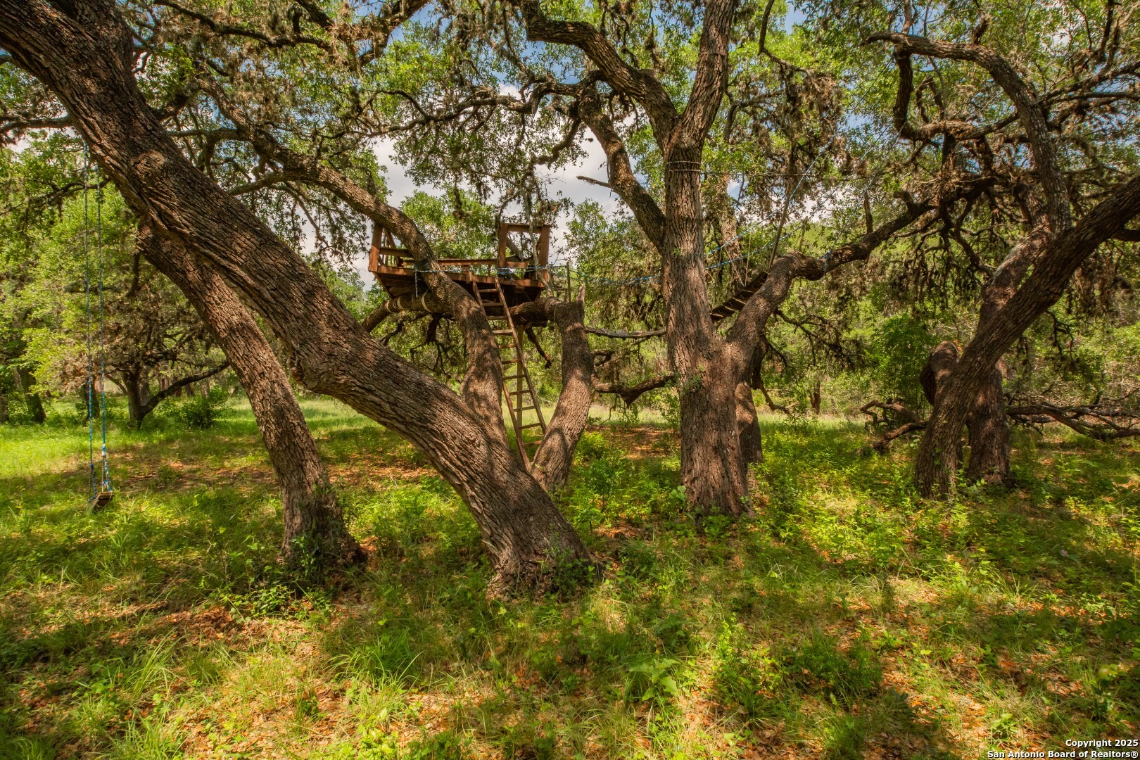26701 Fm 470 Utopia, TX 78884 - Photo 3 of 36 a view of under tree