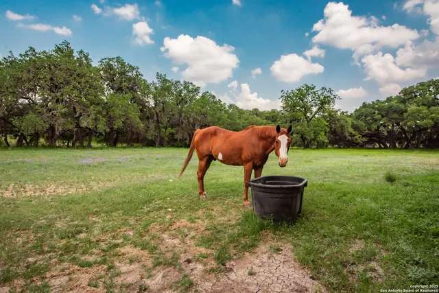 a front view of house with garden