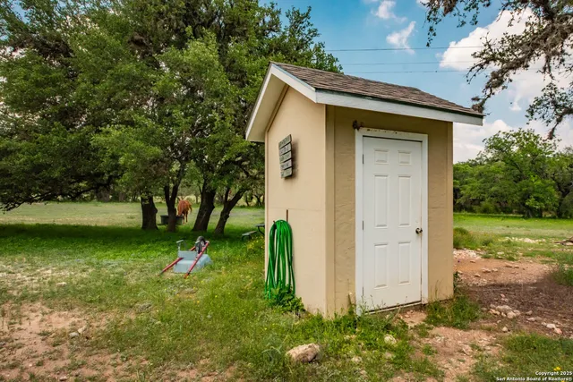 a view of a yard with plants and large trees