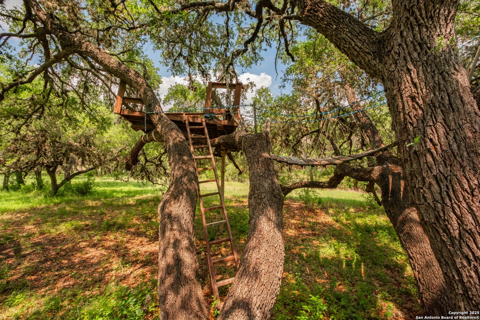 26701 Fm 470 Utopia, TX 78884 - Photo 4 of 36 a view of yard with green space