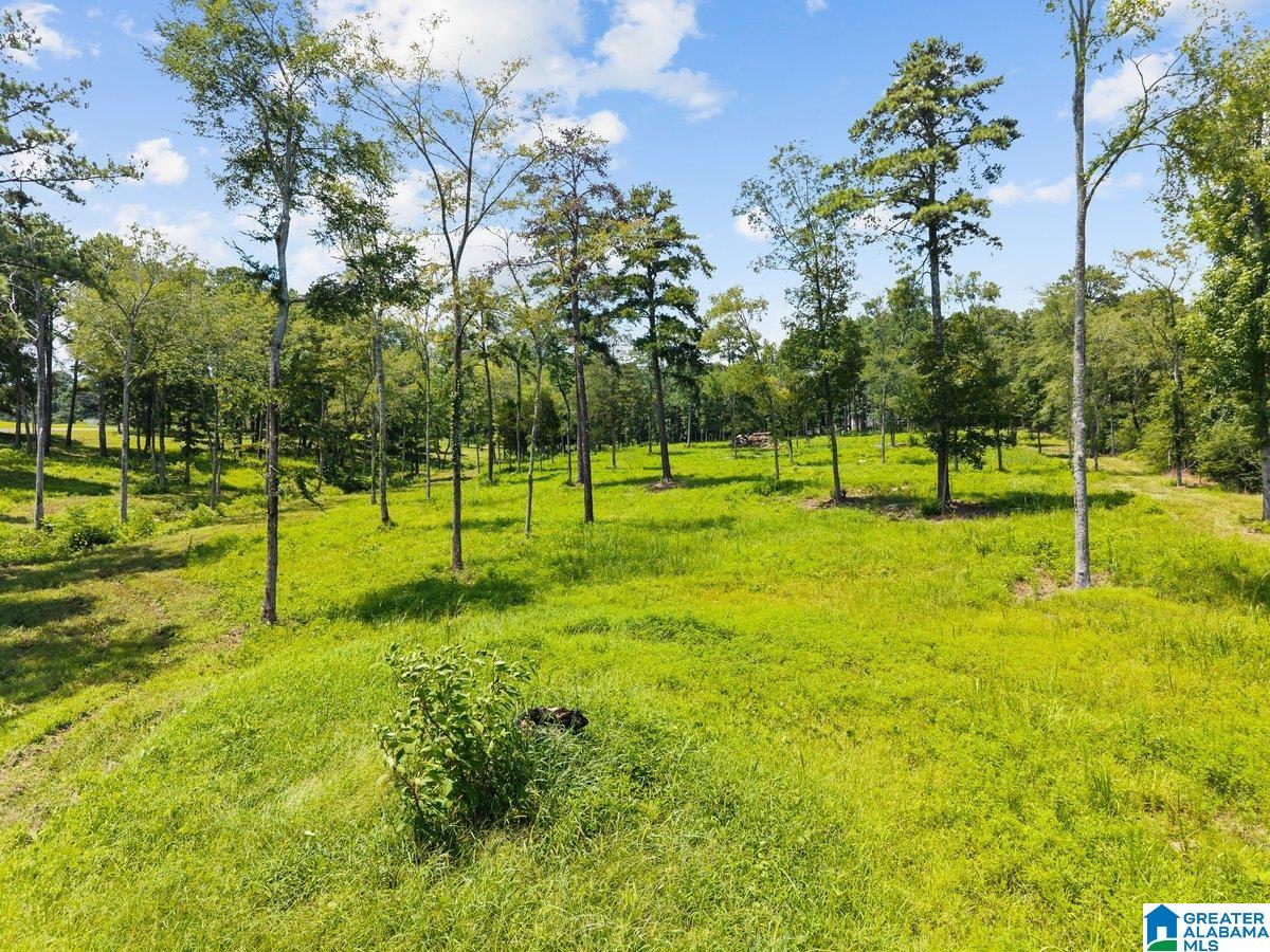 4705 County Highway 45 Hayden, AL 35079 - Photo 20 of 41