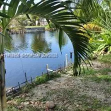 a view of a tree in front of a house
